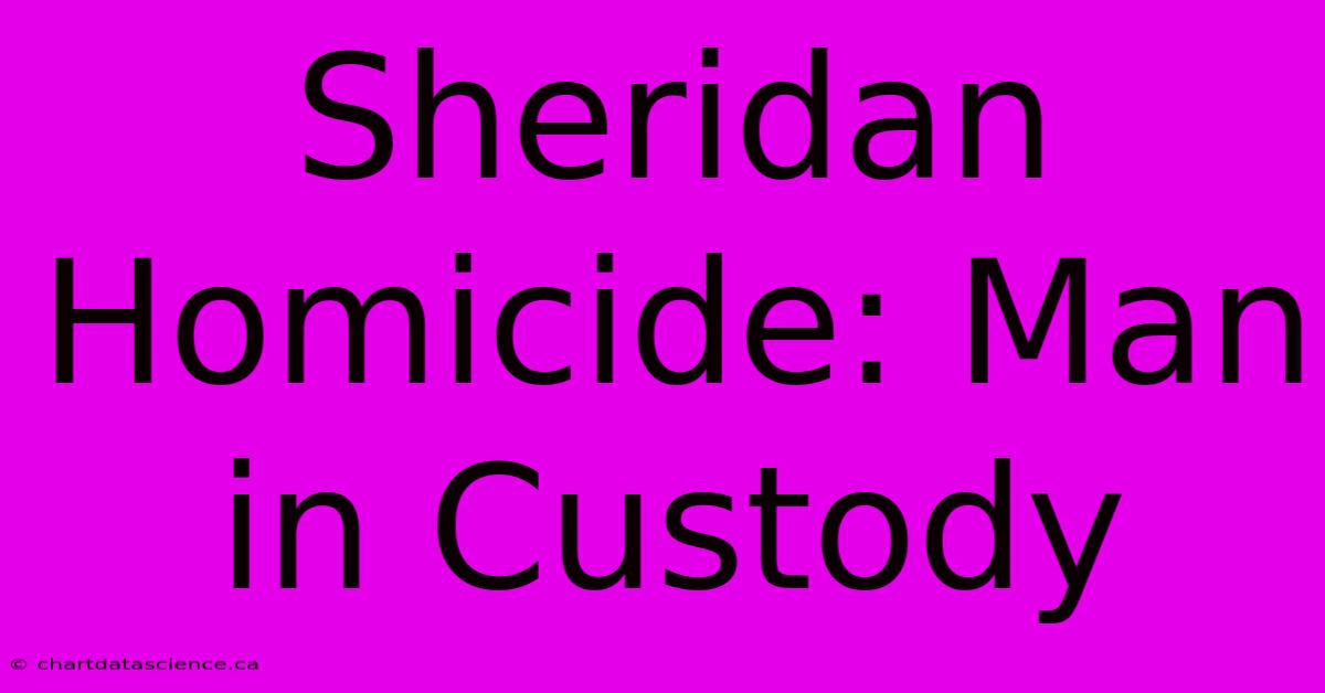 Sheridan Homicide: Man In Custody