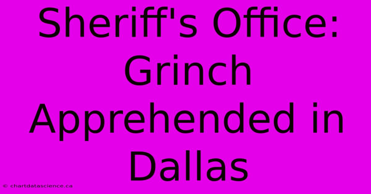 Sheriff's Office: Grinch Apprehended In Dallas