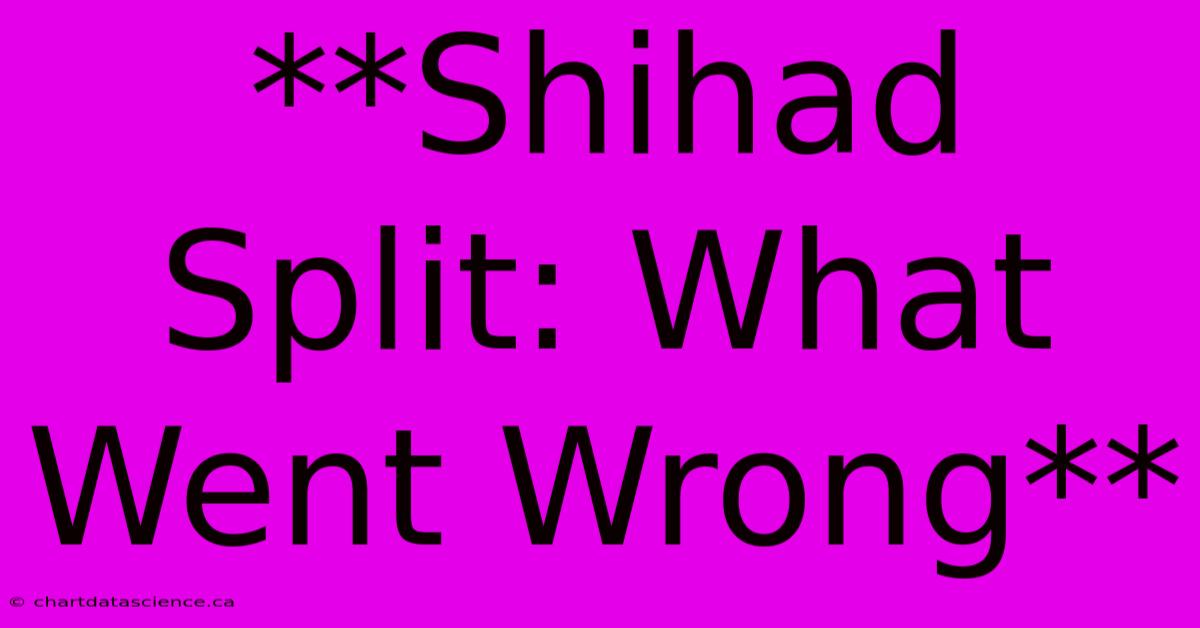 **Shihad Split: What Went Wrong**