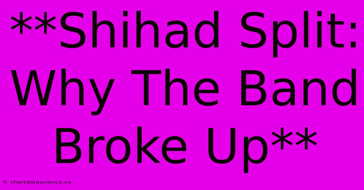 **Shihad Split: Why The Band Broke Up**