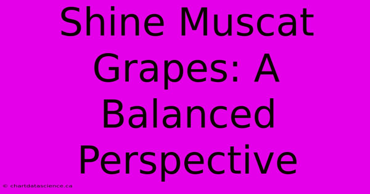 Shine Muscat Grapes: A Balanced Perspective 