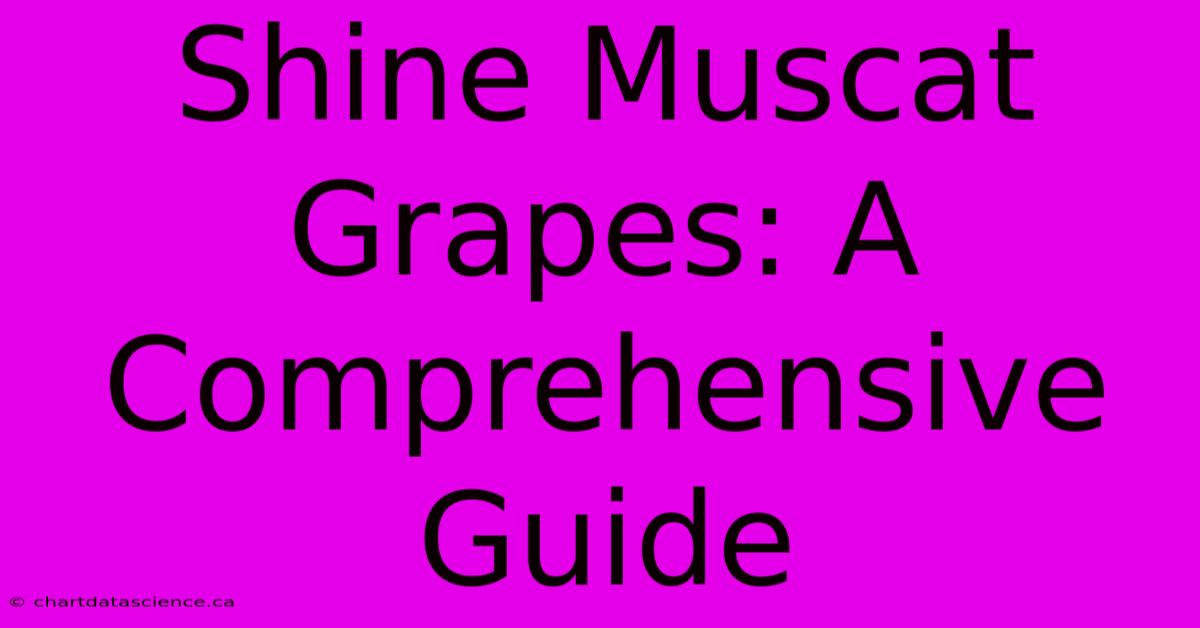 Shine Muscat Grapes: A Comprehensive Guide