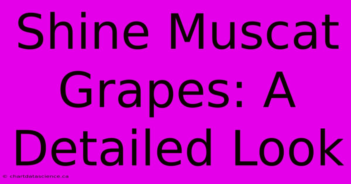 Shine Muscat Grapes: A Detailed Look