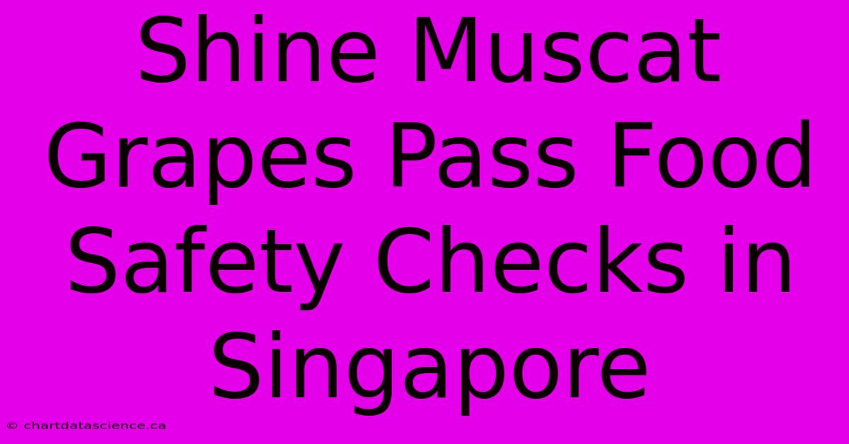 Shine Muscat Grapes Pass Food Safety Checks In Singapore