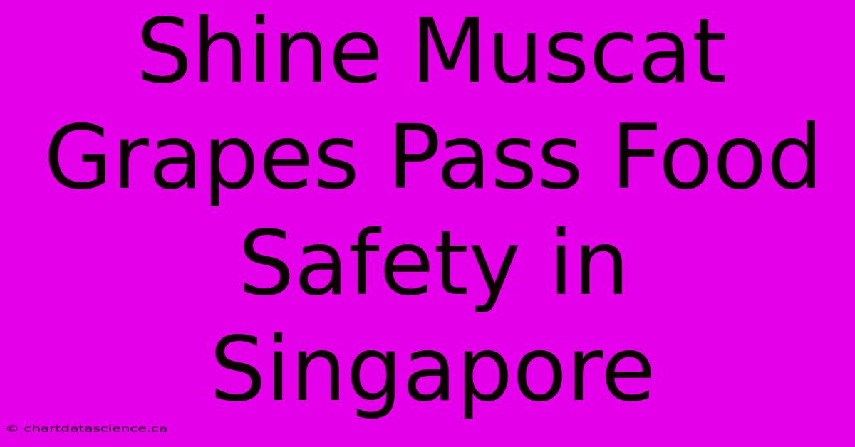 Shine Muscat Grapes Pass Food Safety In Singapore