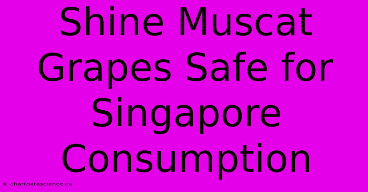 Shine Muscat Grapes Safe For Singapore Consumption