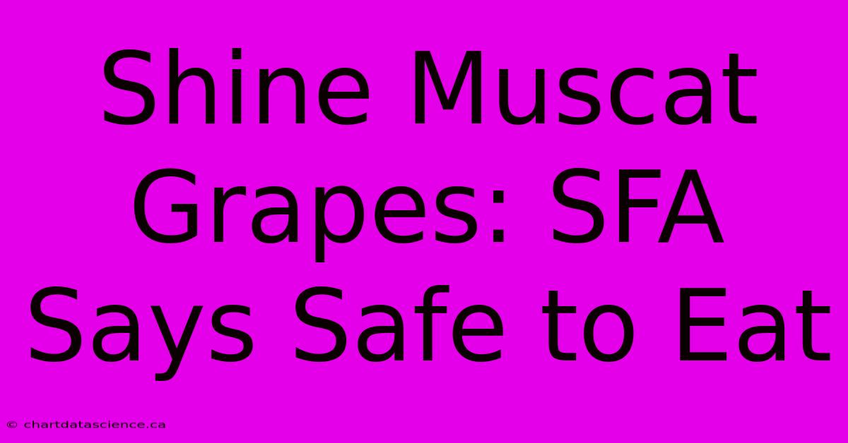 Shine Muscat Grapes: SFA Says Safe To Eat 