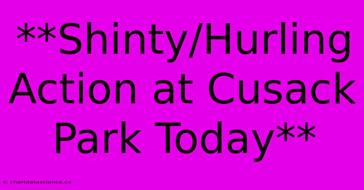 **Shinty/Hurling Action At Cusack Park Today**