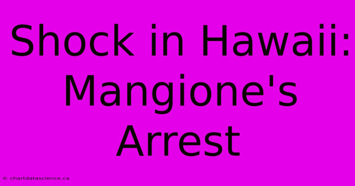 Shock In Hawaii: Mangione's Arrest