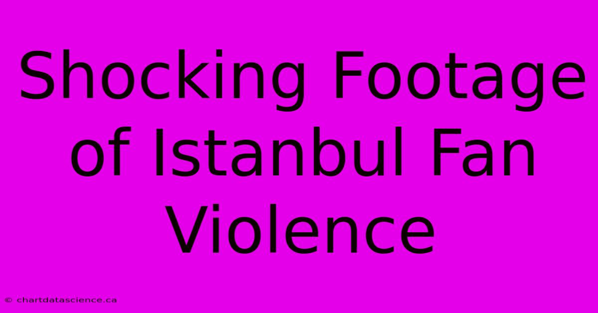 Shocking Footage Of Istanbul Fan Violence