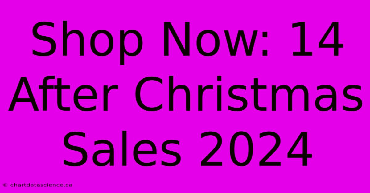 Shop Now: 14 After Christmas Sales 2024