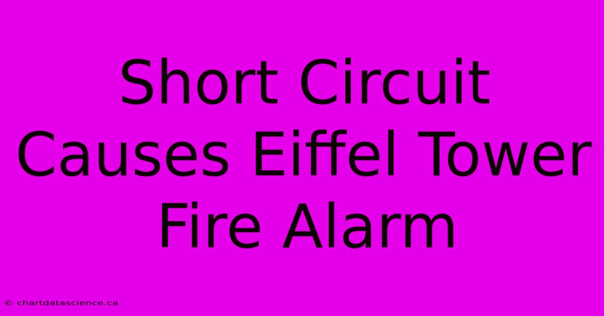 Short Circuit Causes Eiffel Tower Fire Alarm