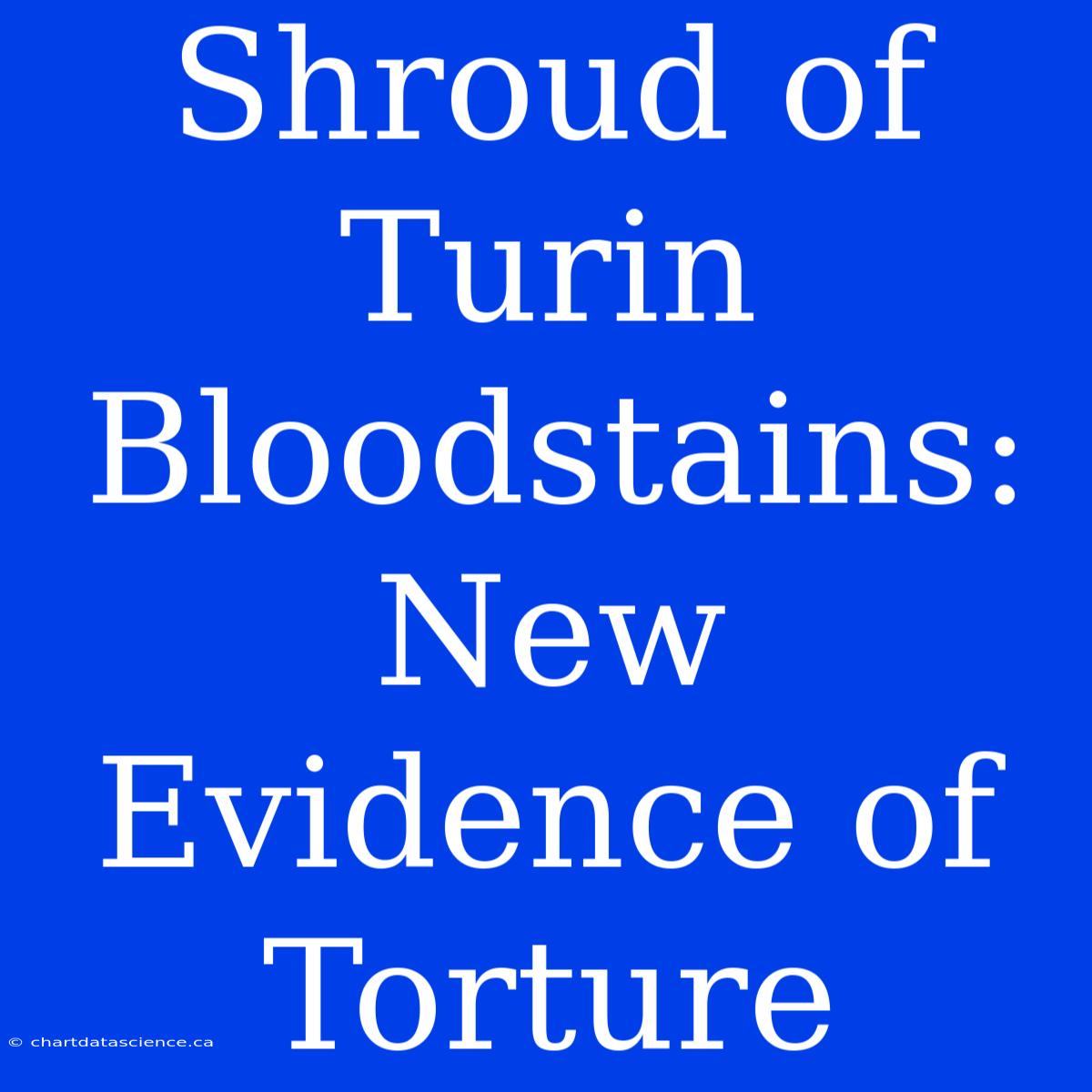 Shroud Of Turin Bloodstains: New Evidence Of Torture