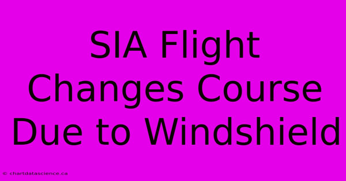 SIA Flight Changes Course Due To Windshield