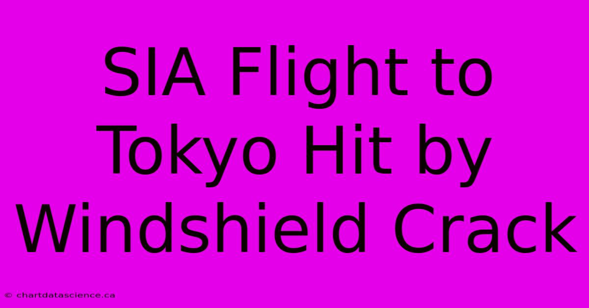 SIA Flight To Tokyo Hit By Windshield Crack