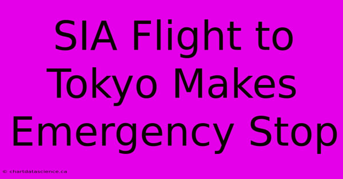 SIA Flight To Tokyo Makes Emergency Stop