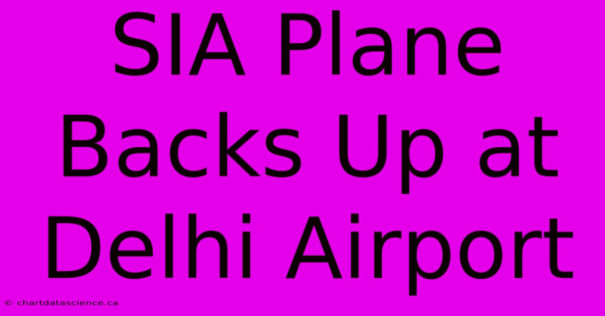 SIA Plane Backs Up At Delhi Airport