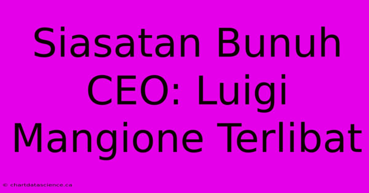 Siasatan Bunuh CEO: Luigi Mangione Terlibat