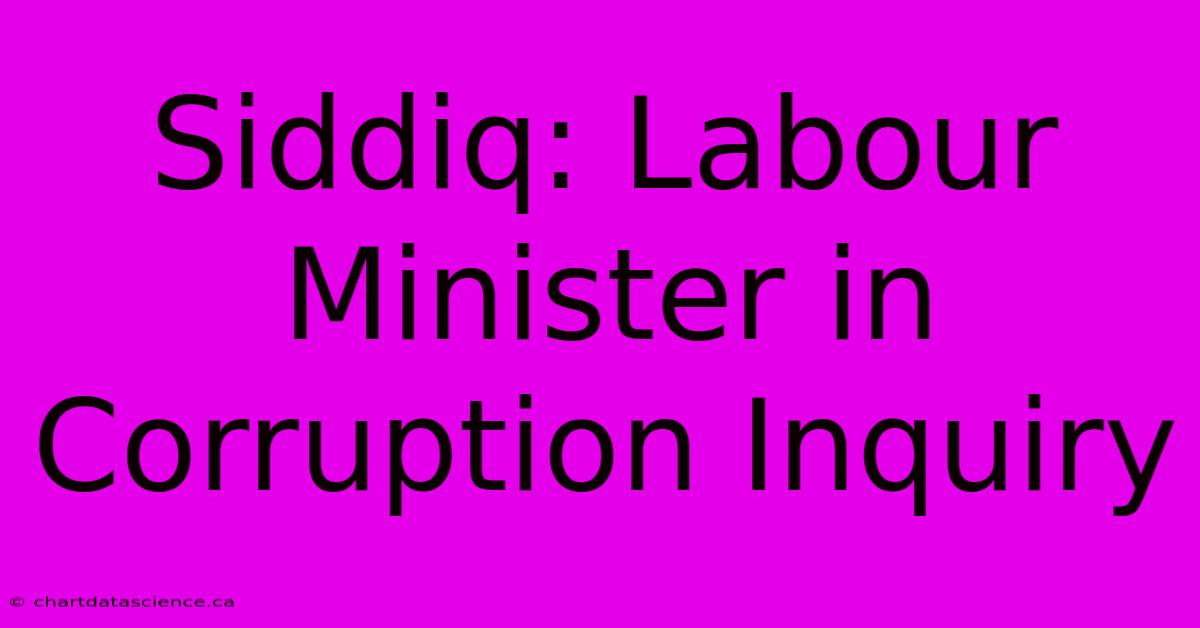 Siddiq: Labour Minister In Corruption Inquiry