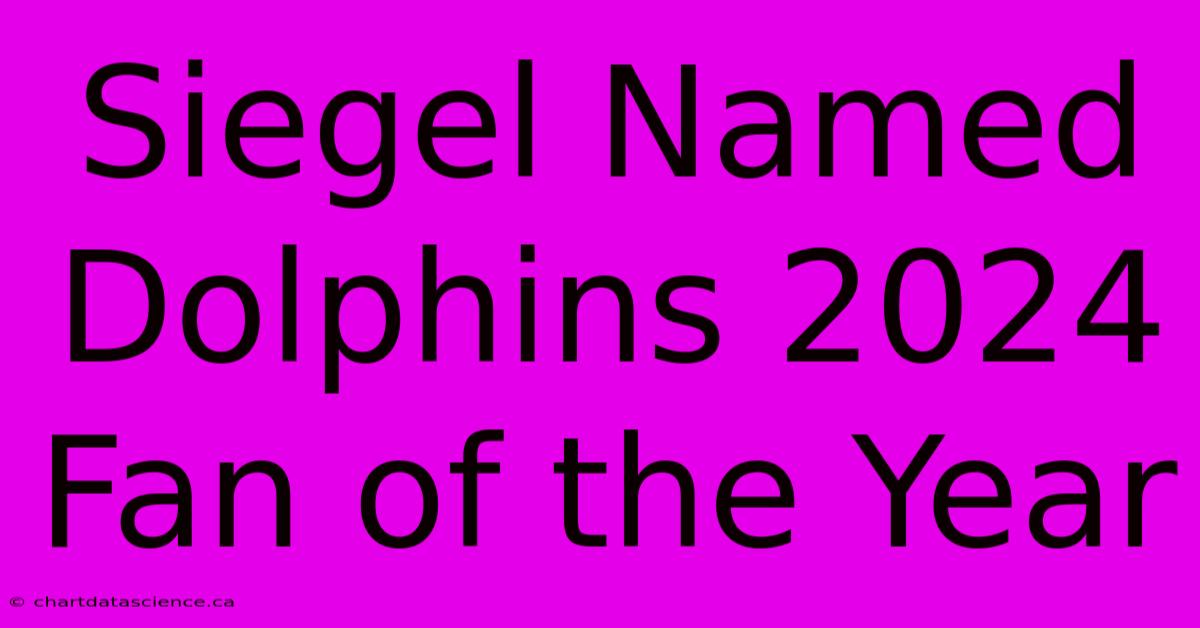 Siegel Named Dolphins 2024 Fan Of The Year