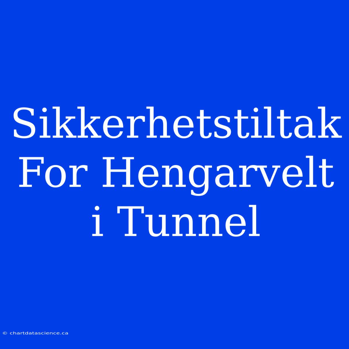 Sikkerhetstiltak For Hengarvelt I Tunnel