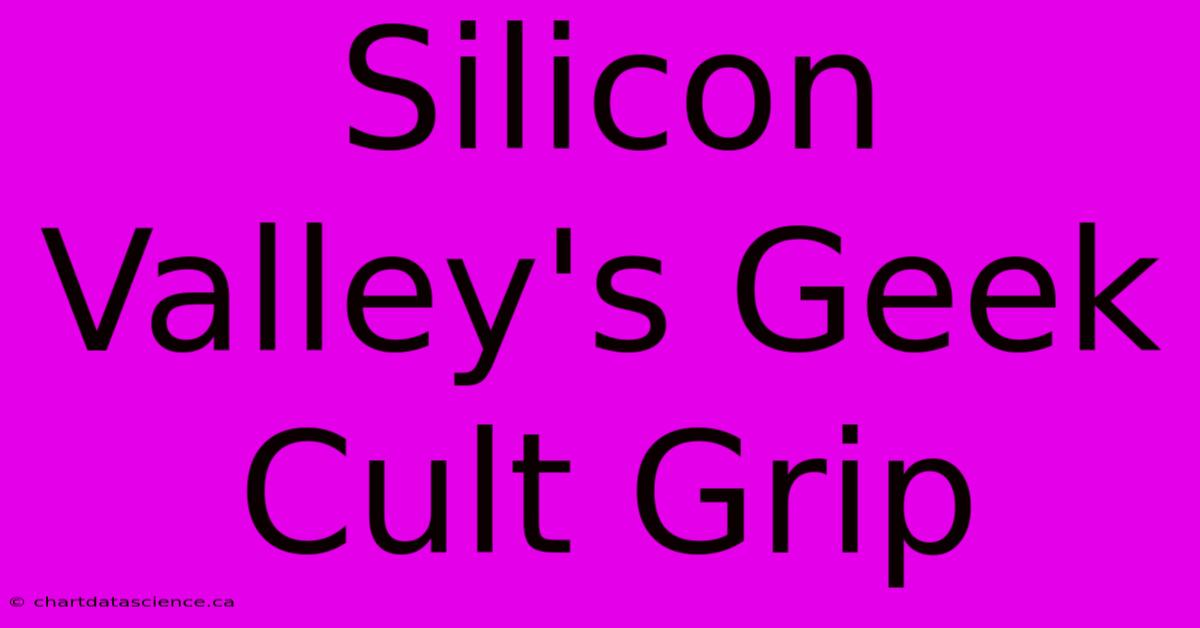 Silicon Valley's Geek Cult Grip