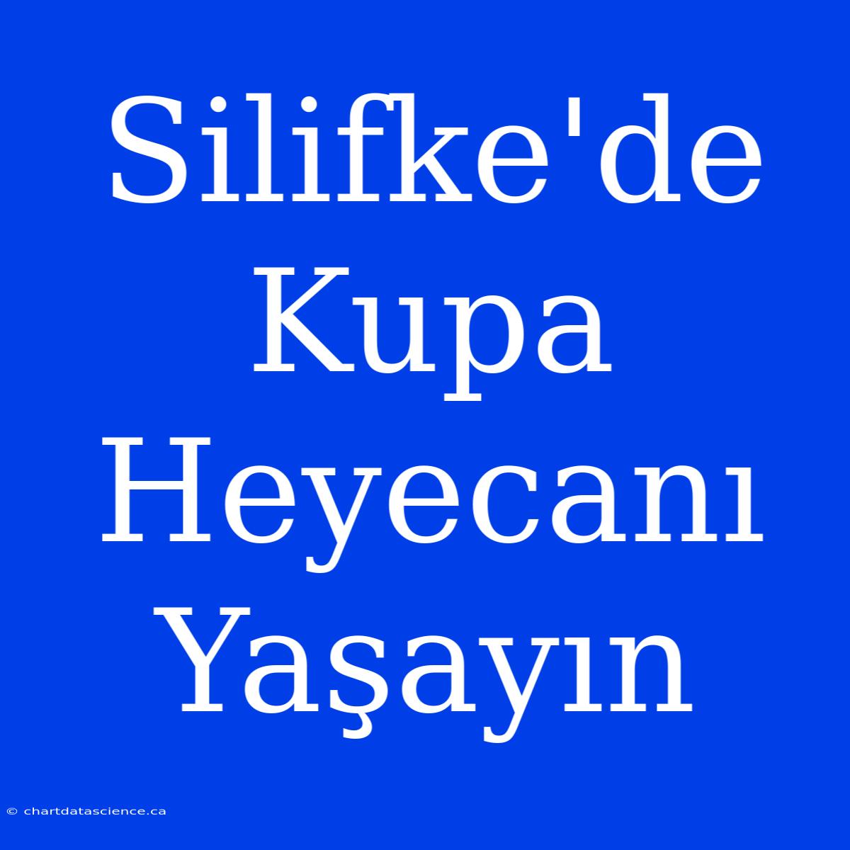 Silifke'de Kupa Heyecanı Yaşayın