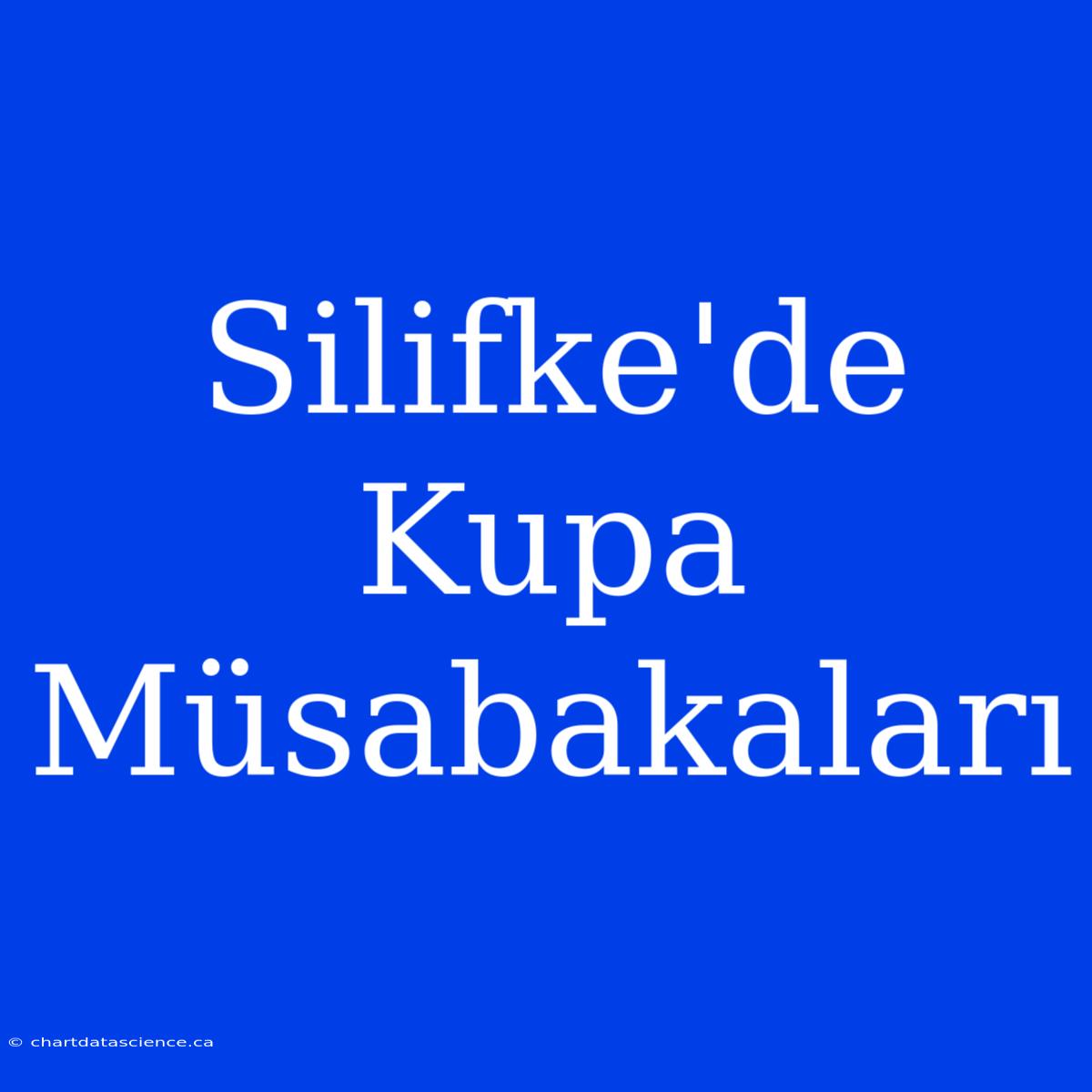 Silifke'de Kupa Müsabakaları