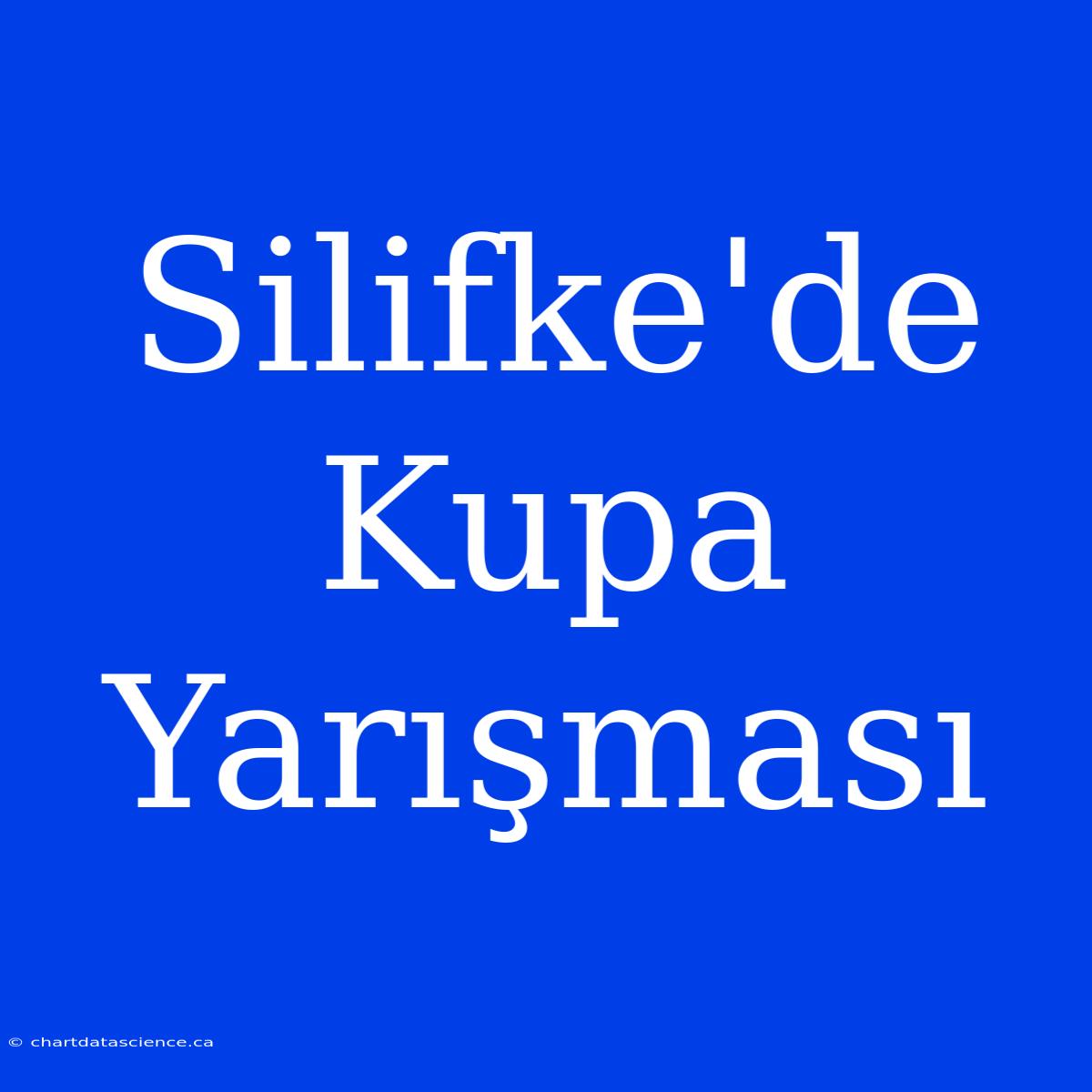 Silifke'de Kupa Yarışması