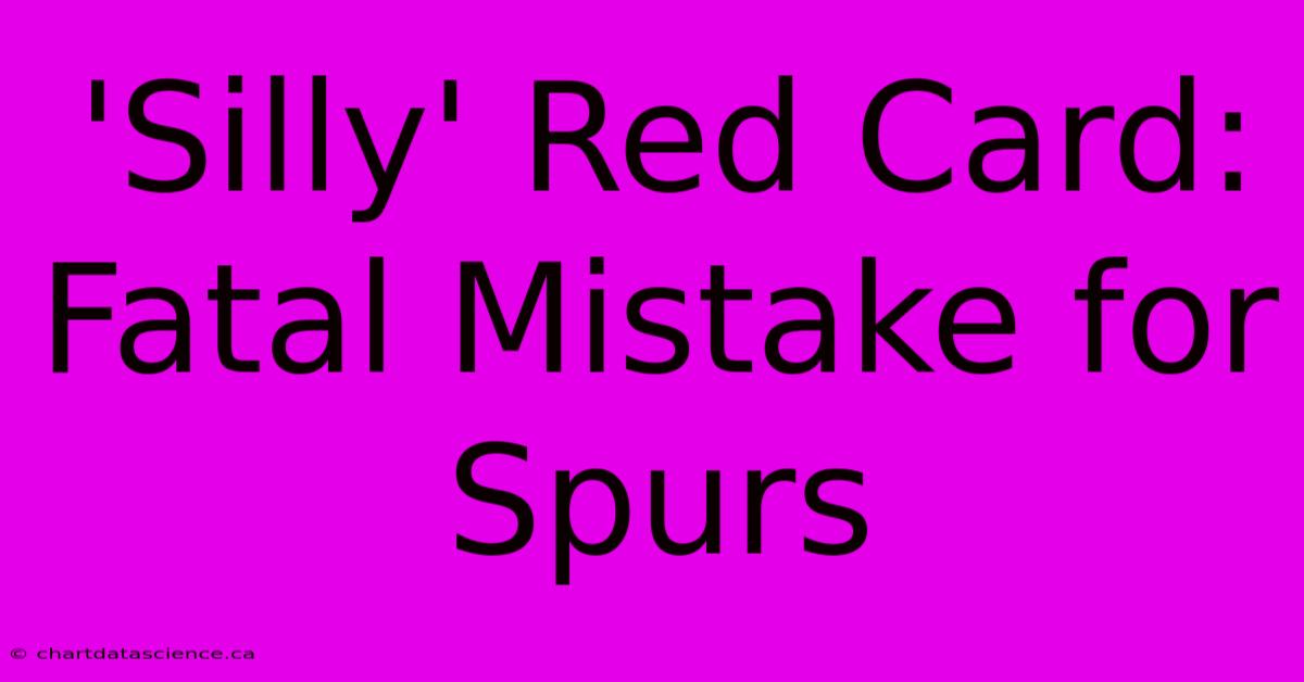 'Silly' Red Card: Fatal Mistake For Spurs