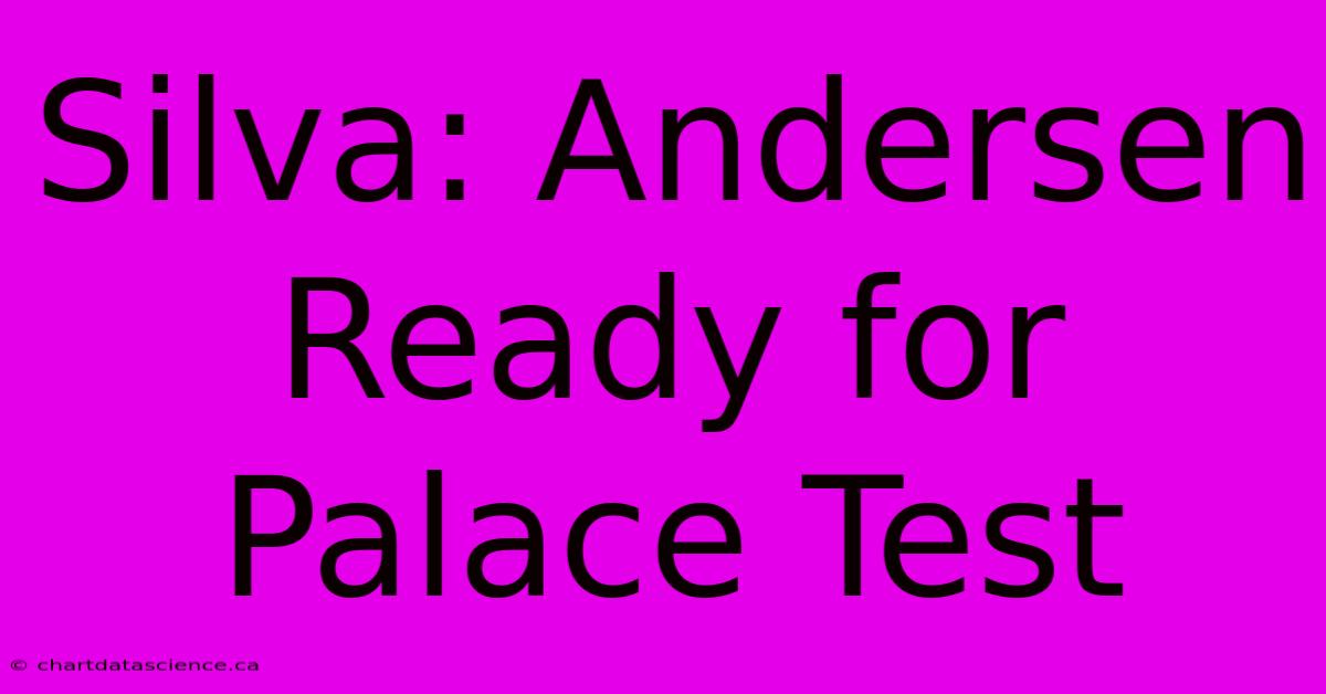 Silva: Andersen Ready For Palace Test