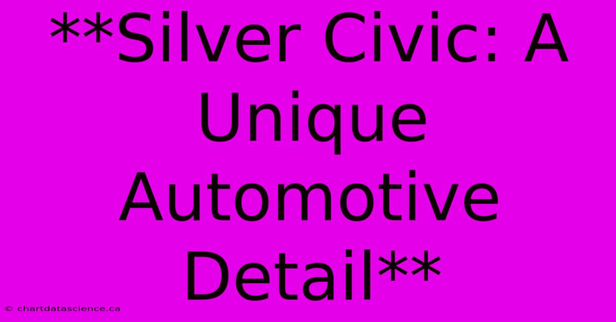 **Silver Civic: A Unique Automotive Detail**