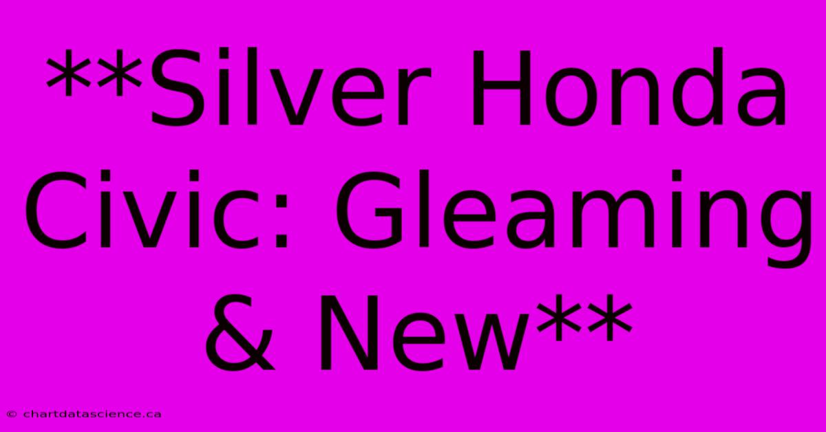 **Silver Honda Civic: Gleaming & New**