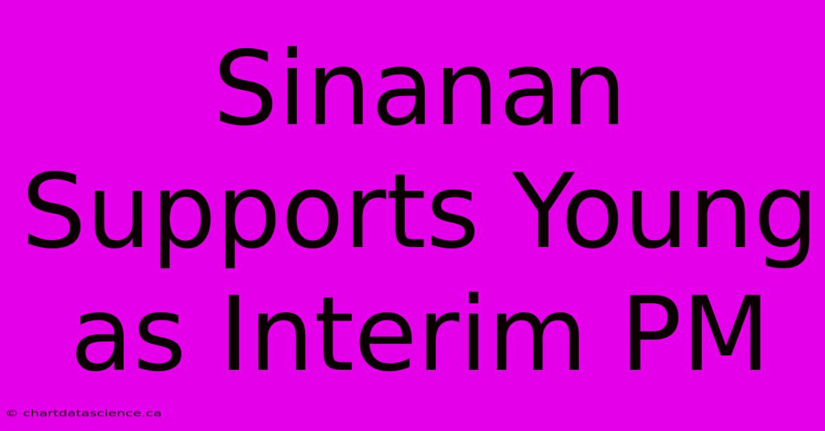 Sinanan Supports Young As Interim PM