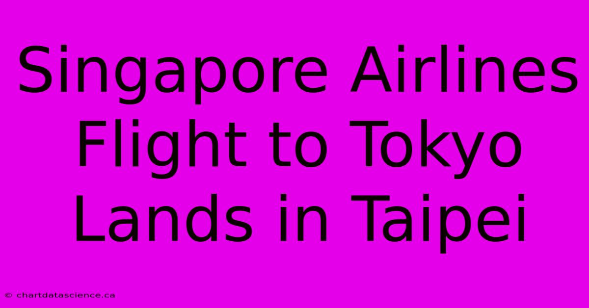 Singapore Airlines Flight To Tokyo Lands In Taipei