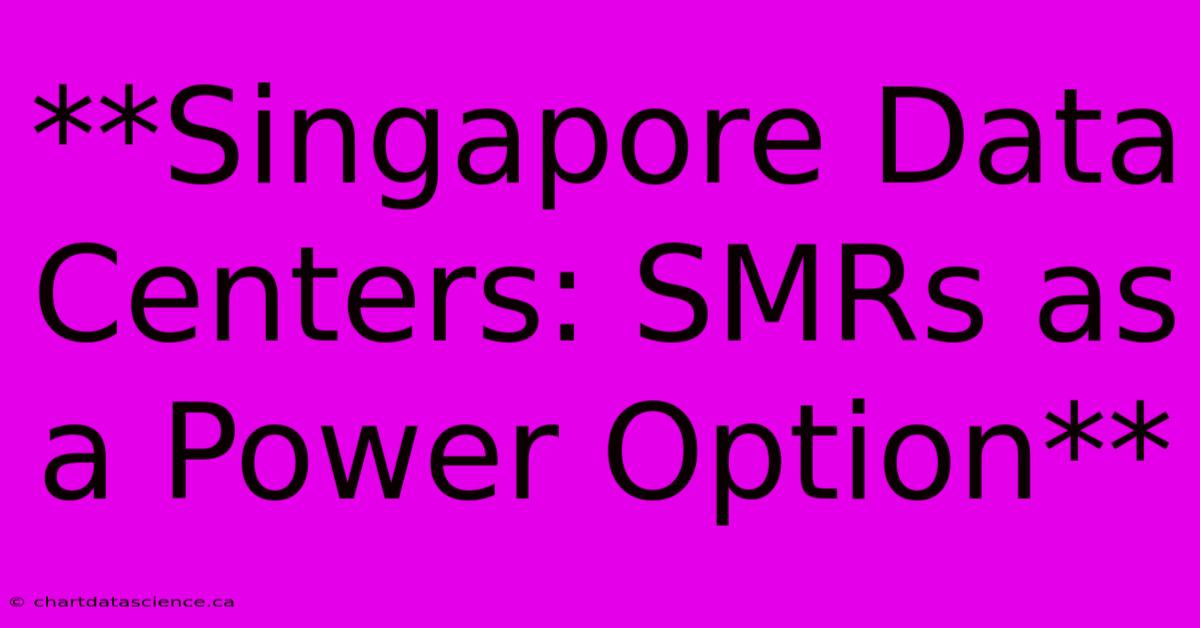 **Singapore Data Centers: SMRs As A Power Option**