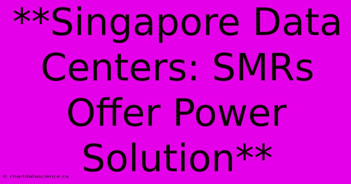 **Singapore Data Centers: SMRs Offer Power Solution**