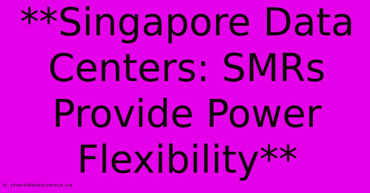 **Singapore Data Centers: SMRs Provide Power Flexibility** 