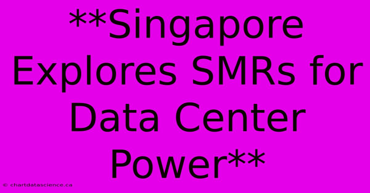 **Singapore Explores SMRs For Data Center Power**