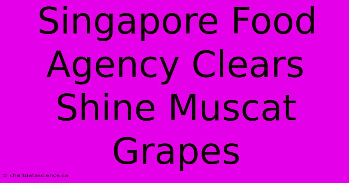 Singapore Food Agency Clears Shine Muscat Grapes