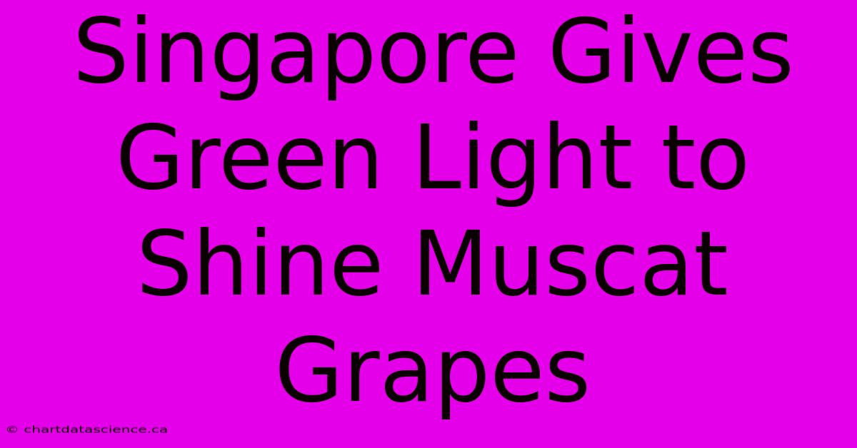 Singapore Gives Green Light To Shine Muscat Grapes