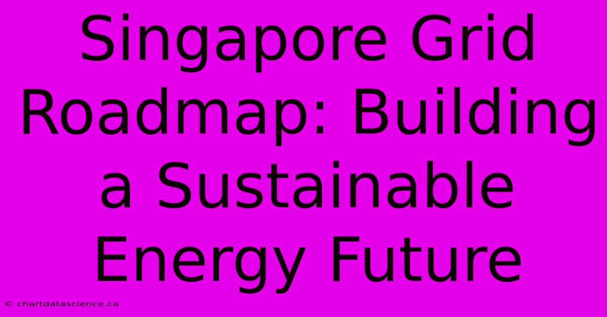 Singapore Grid Roadmap: Building A Sustainable Energy Future