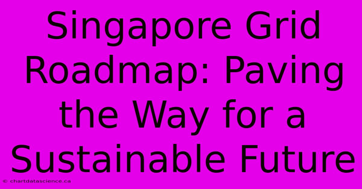 Singapore Grid Roadmap: Paving The Way For A Sustainable Future