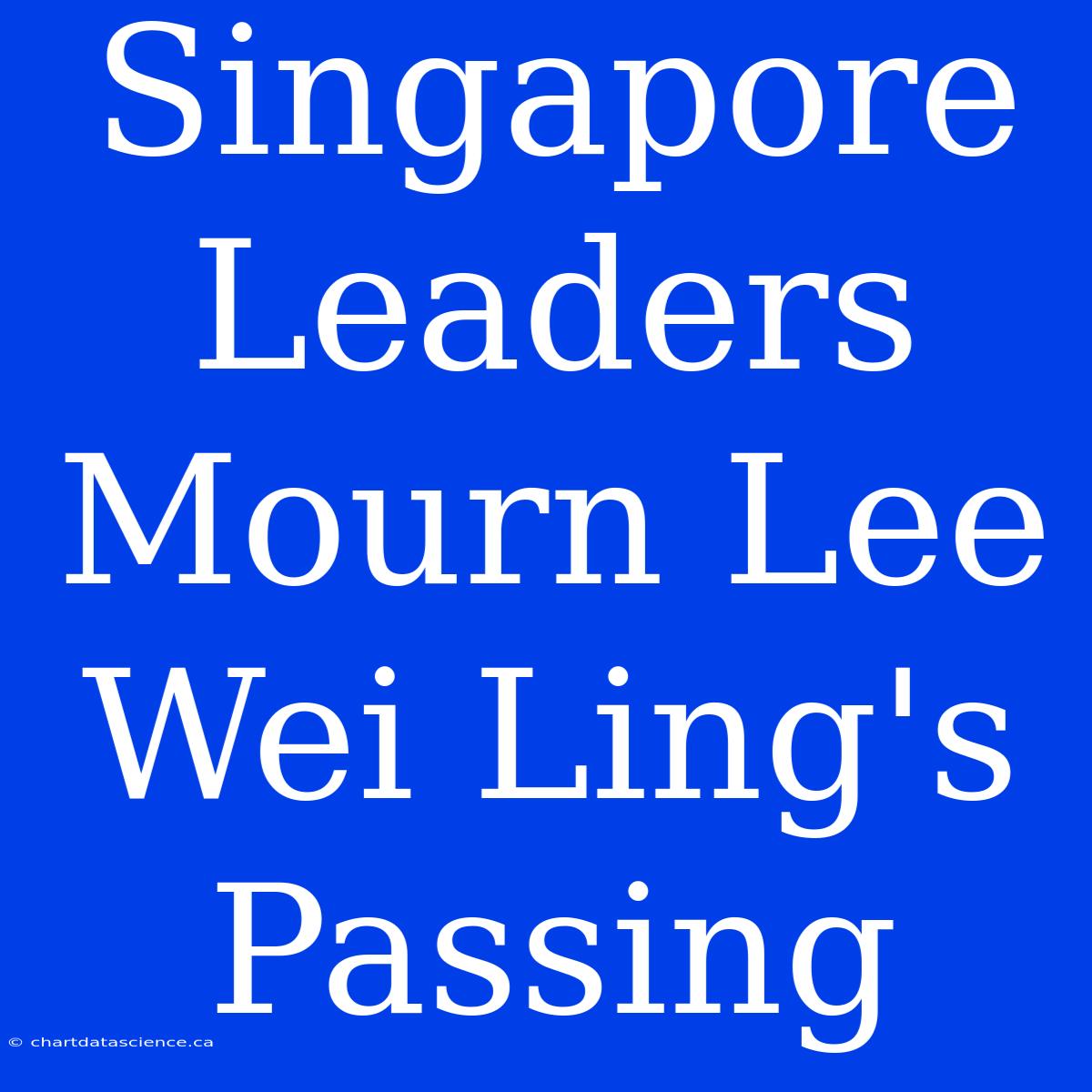 Singapore Leaders Mourn Lee Wei Ling's Passing