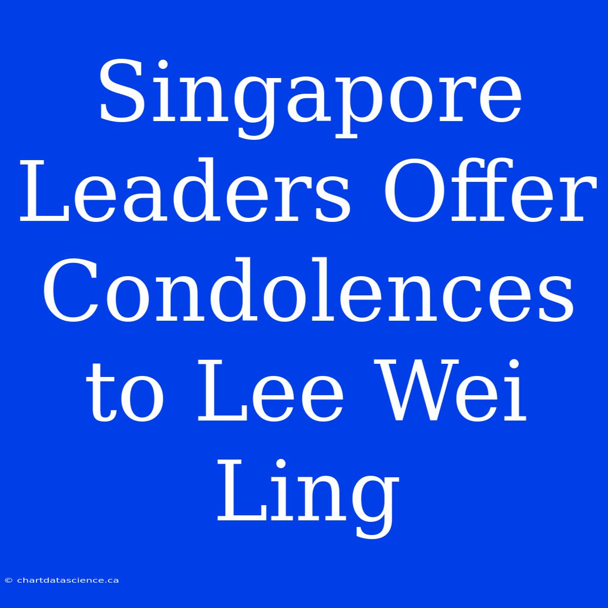 Singapore Leaders Offer Condolences To Lee Wei Ling