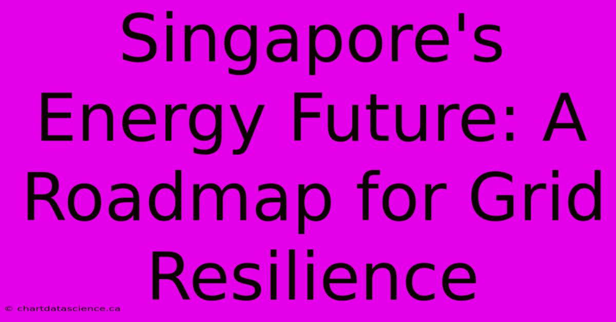 Singapore's Energy Future: A Roadmap For Grid Resilience