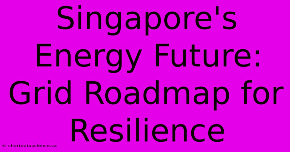 Singapore's Energy Future: Grid Roadmap For Resilience