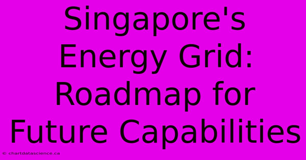 Singapore's Energy Grid: Roadmap For Future Capabilities