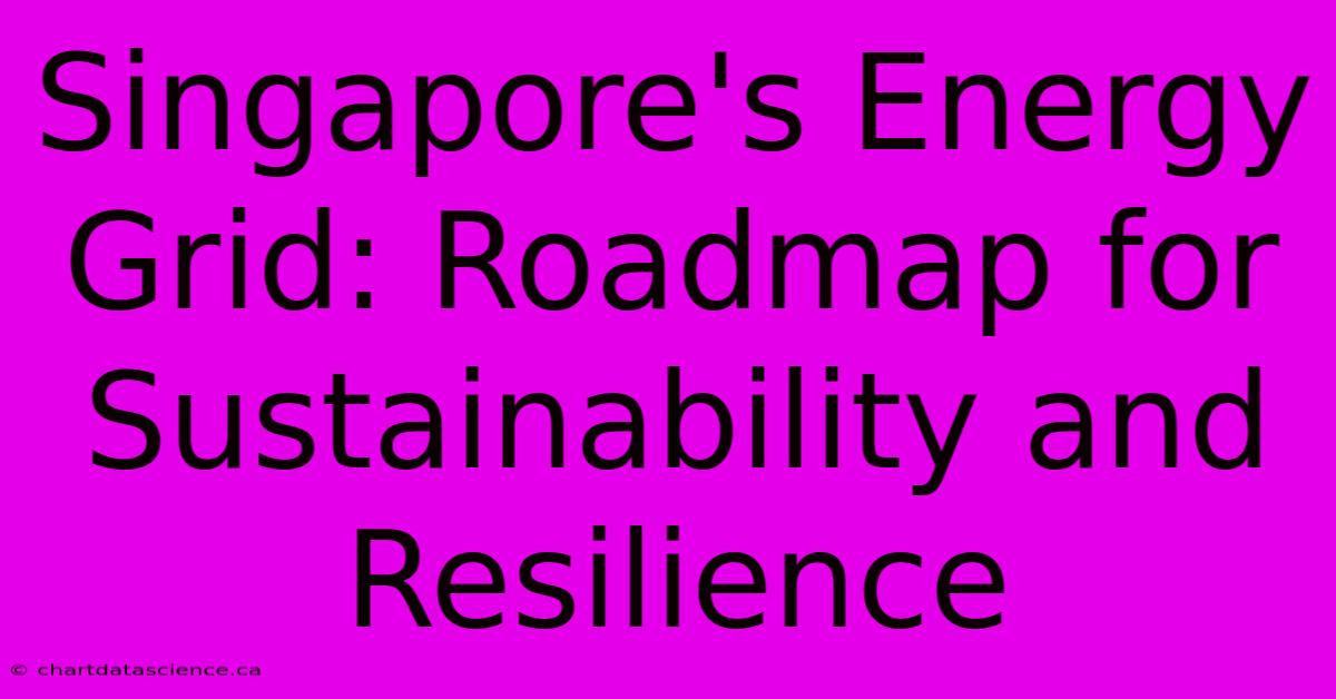 Singapore's Energy Grid: Roadmap For Sustainability And Resilience