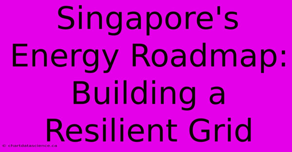 Singapore's Energy Roadmap: Building A Resilient Grid